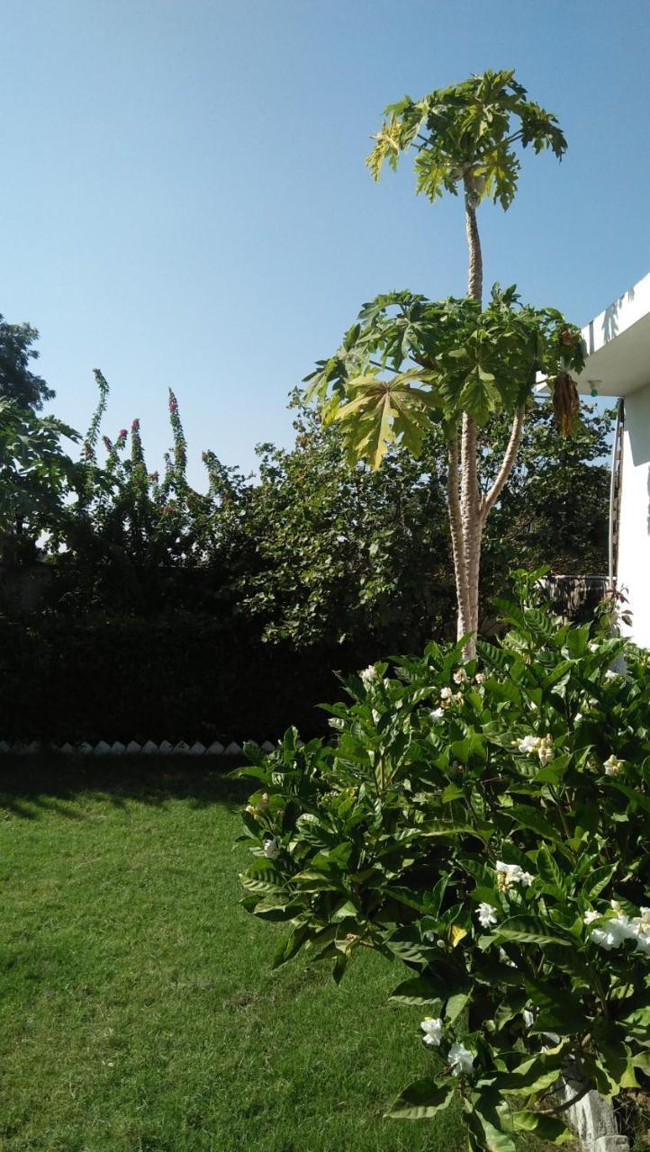 Prem Home Stay 카주라호 외부 사진